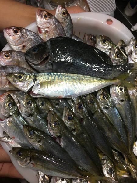 今日のバリは前回釣行時よりでかかった！！